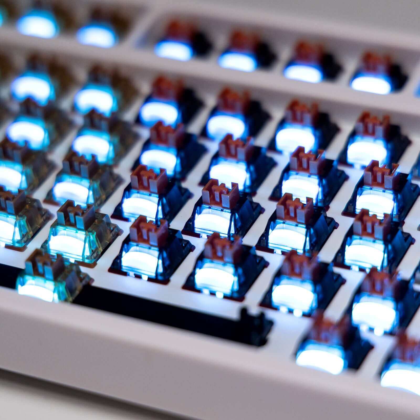 GamaKay Mechanical Switches - Planet Series - Image 3