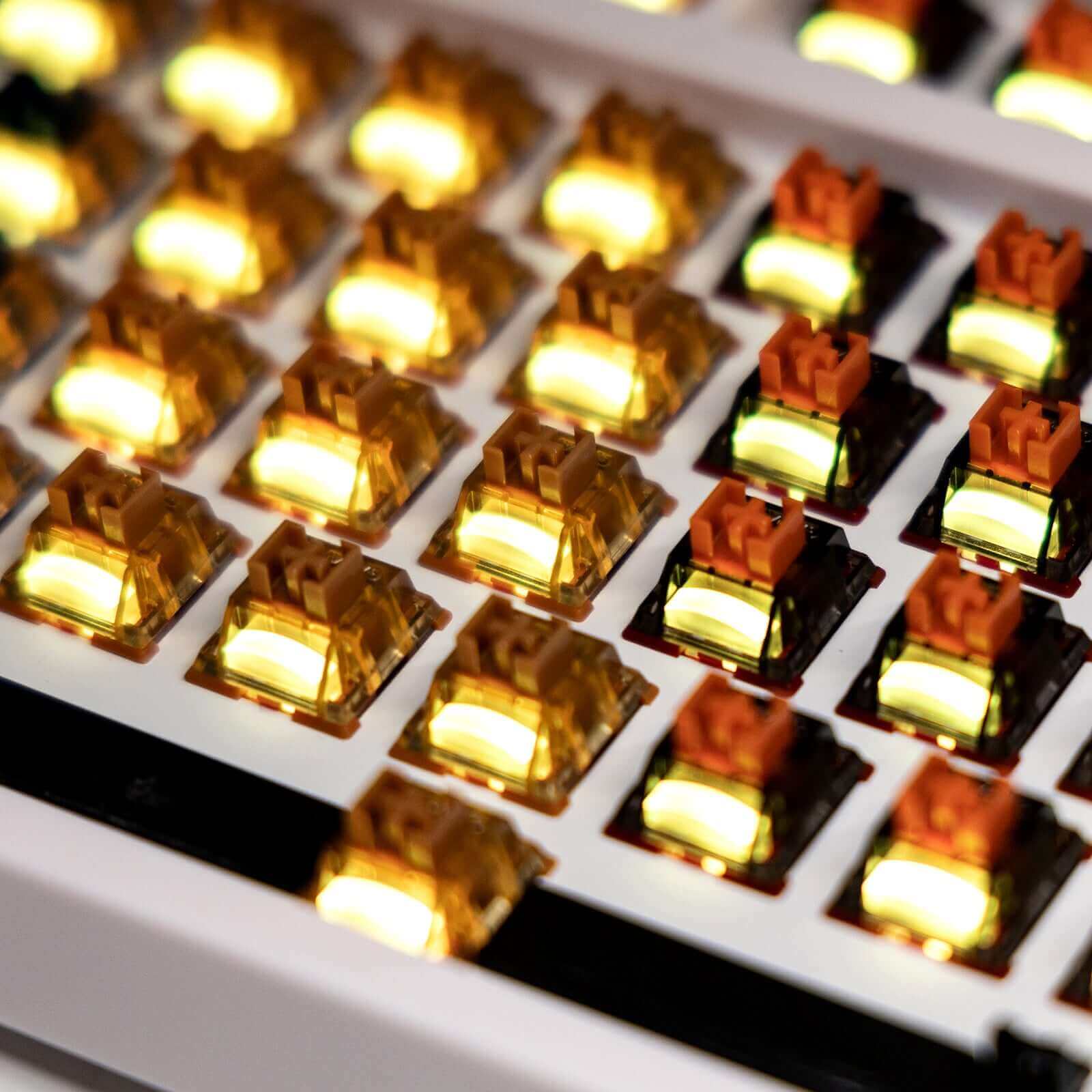 GamaKay Mechanical Switches - Planet Series - Image 8