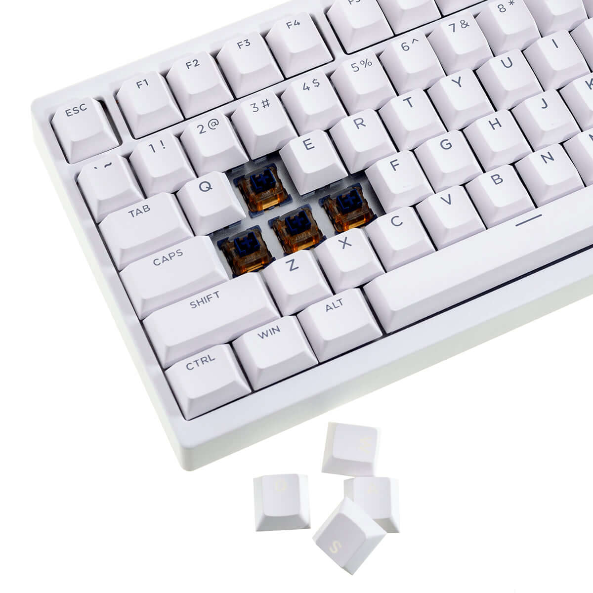 Gamakay TK75HE V2 Hall Effect keyboard 8K Polling Rate 0.005mm RT Accuracy - Image 37